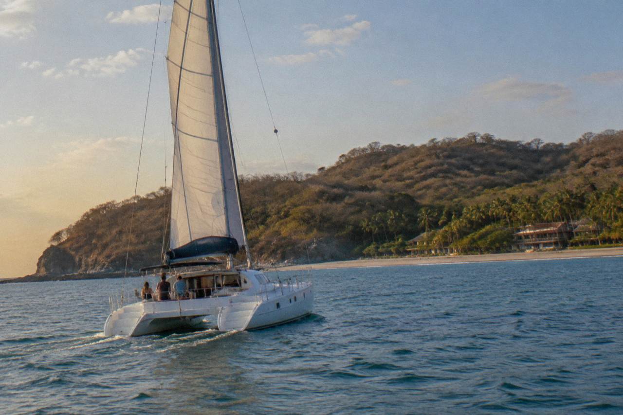 A catamaran under sail on calm Pacific water near wooded headlands in late afternoon light