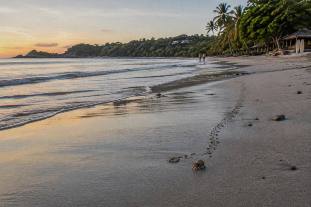 Empty surf beach at Tamarindo in early morning light with gentle waves and distant trees