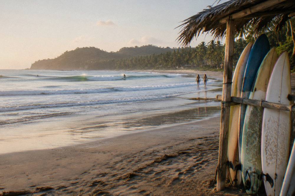 Glassy morning waves breaking across a wide sandy beach with palm trees behind