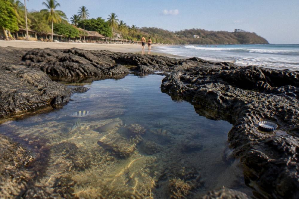Shallow tide pool among dark volcanic rocks with small fish visible in clear water