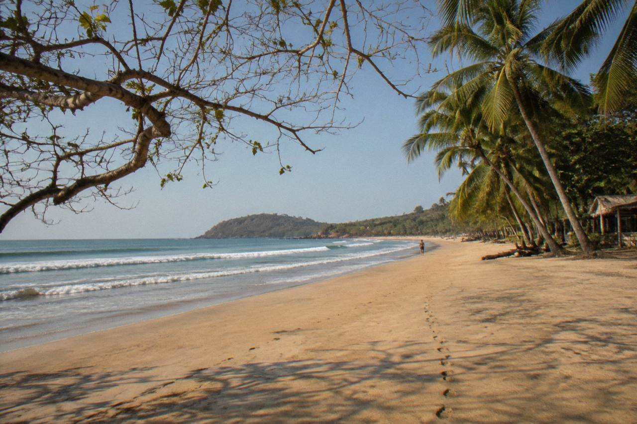 Empty golden sand beach at Tamarindo with gentle waves and palm trees under a clear sky