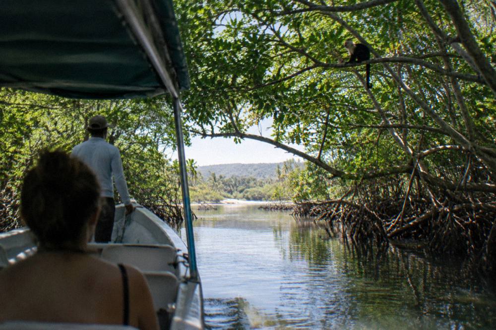 Small boat drifting through a narrow mangrove channel with overhanging branches