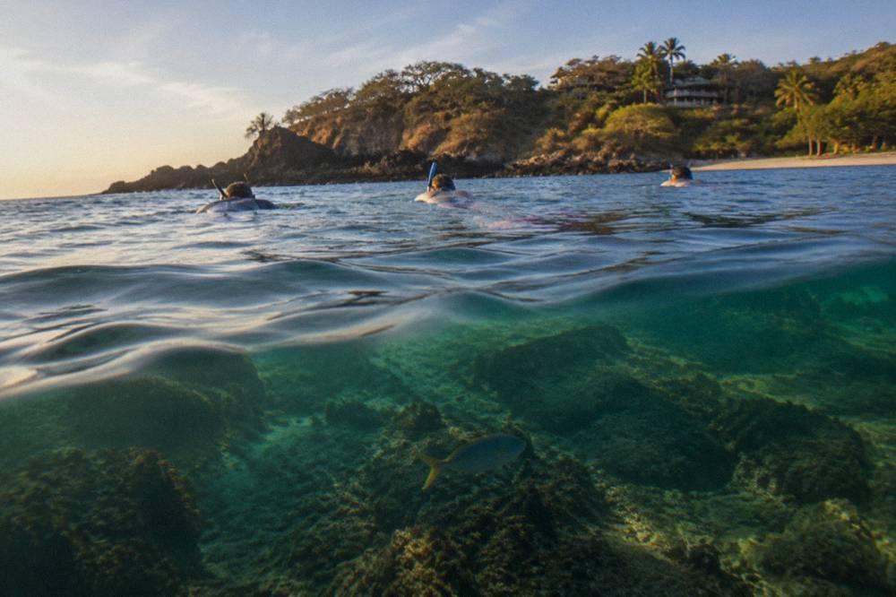 Snorkelers floating over a rocky reef in clear green water near a small cove