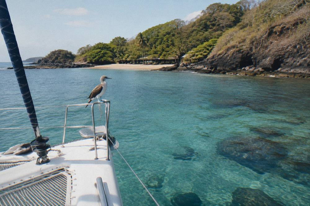 Catamaran anchored near a secluded green coastline with clear shallow water
