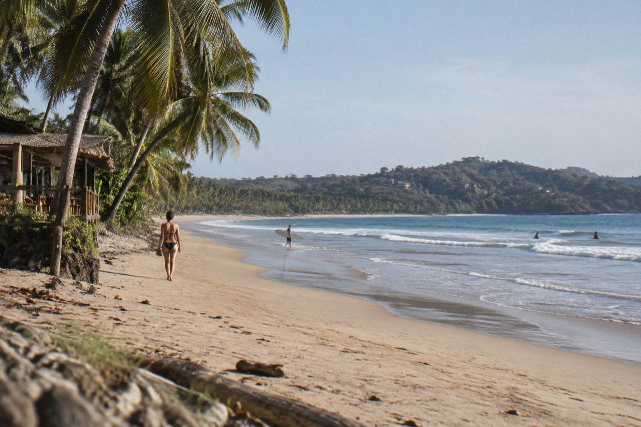 Wide sandy beach curving along a Pacific bay with low waves and palm trees at the shoreline