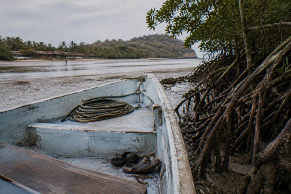 Small open boat anchored beside mangrove roots in soft light