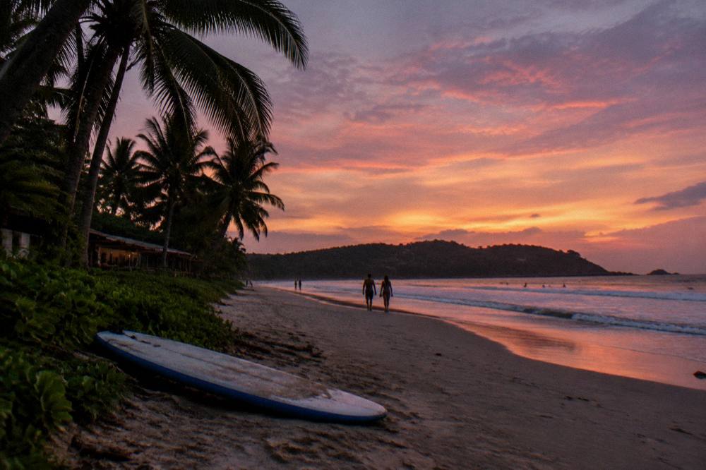 Palm trees silhouetted against a colorful evening sky over a Pacific beach