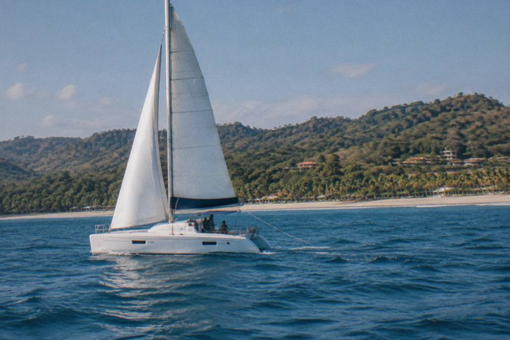 A catamaran under sail on open blue water with a forested coastline in the distance