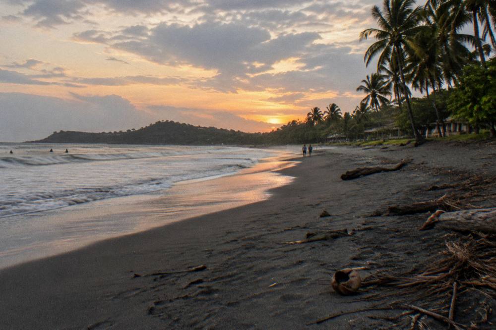 A wide empty beach at dusk with dark volcanic sand and palms leaning in the breeze